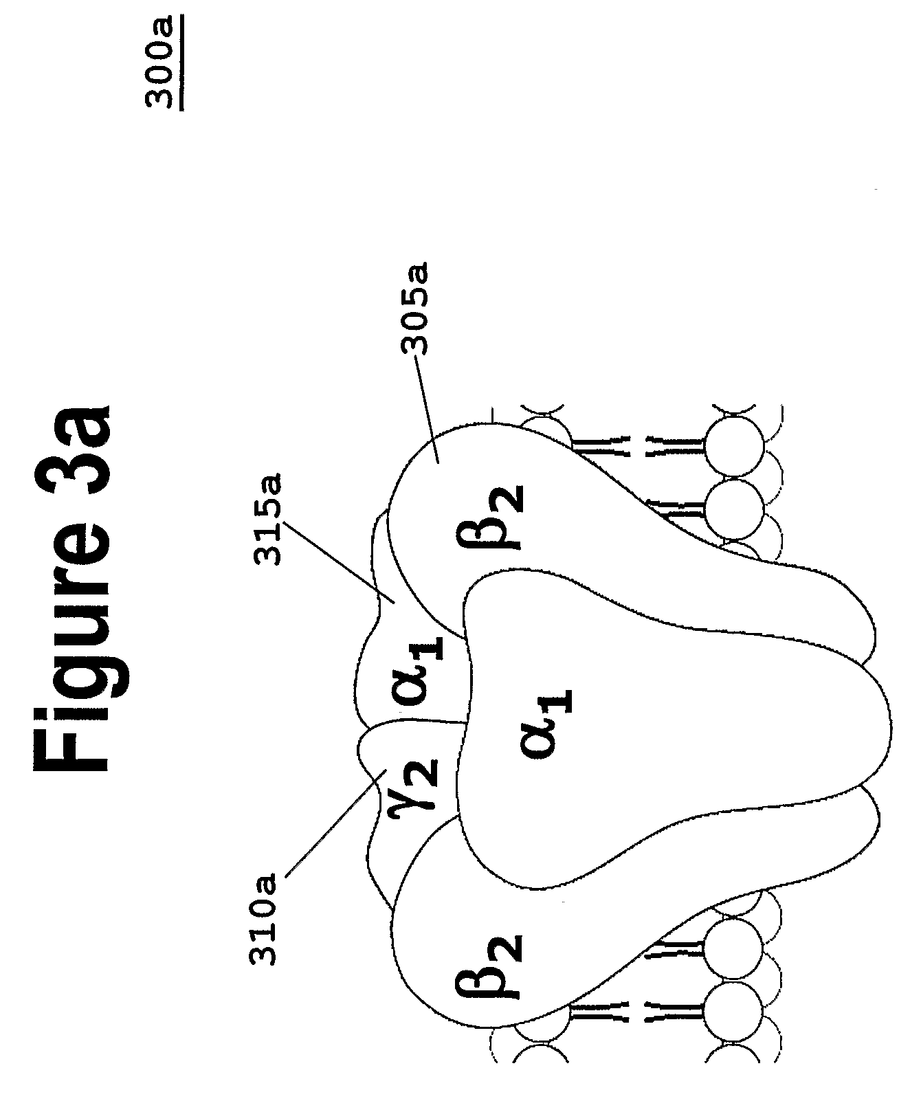 Methods of and Compositions For the Prevention of Anxiety, Substance Abuse, and Dependence