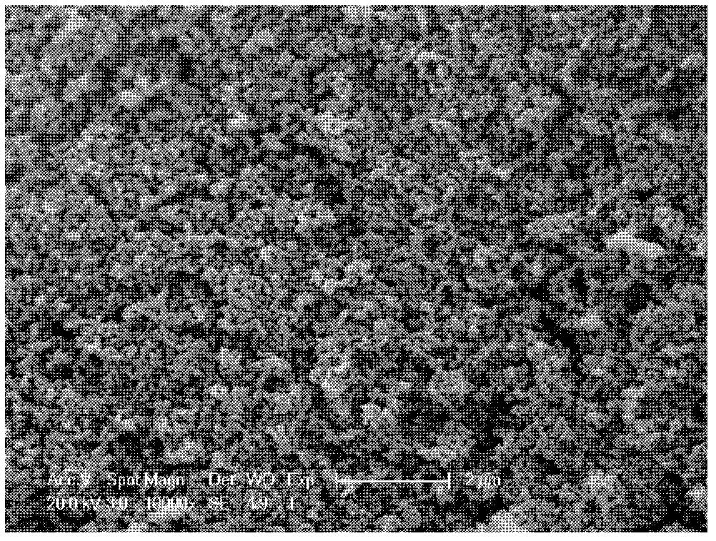 Multiple doped carbon cathode active material and negative electrode used for lithium battery as well as preparation method thereof