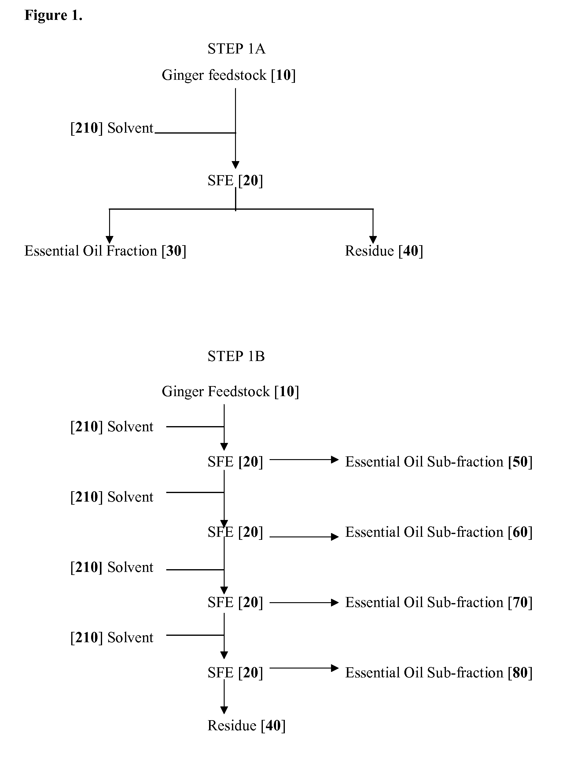 Compositions and Methods Comprising Zingiber Species