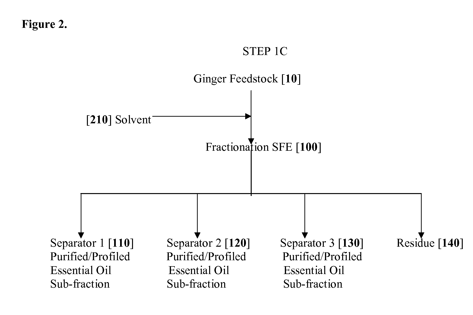 Compositions and Methods Comprising Zingiber Species