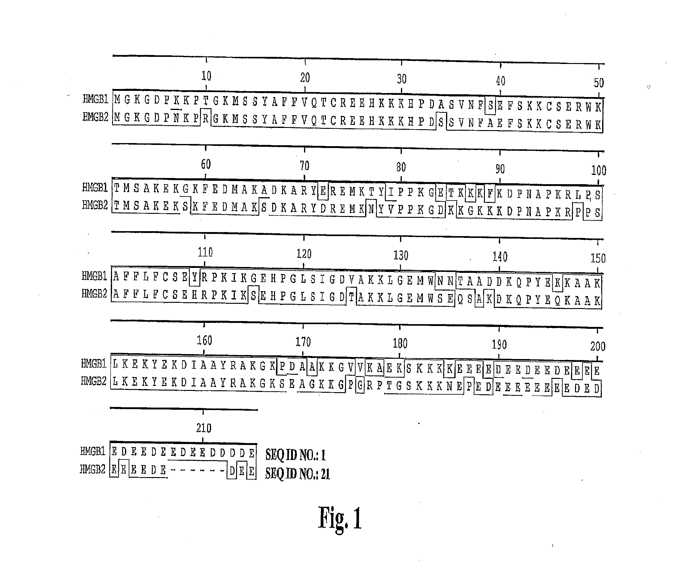 High Affinity Antibodies Against HMGB1 and Methods of Use Thereof