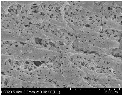 A kind of carbon-coated metal nanoparticle-loaded PVDF film and its preparation method and application