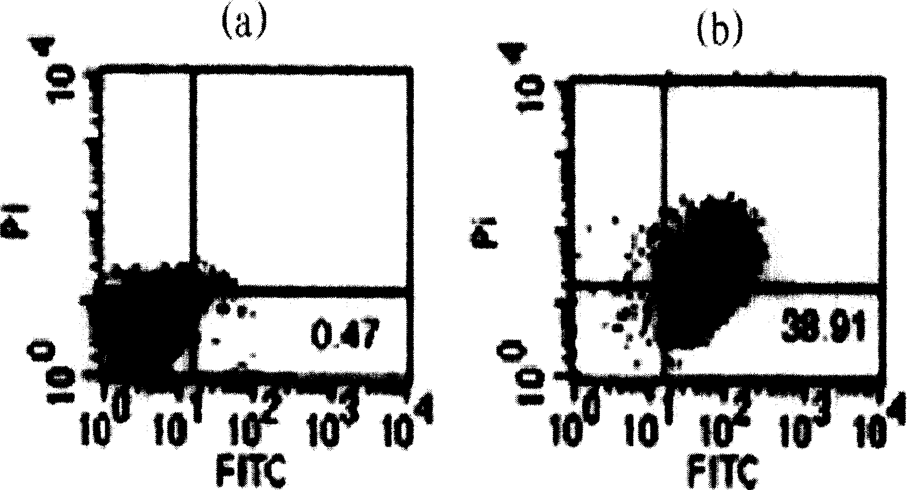 Short peptide suppressing growth of cancer cell and uses thereof