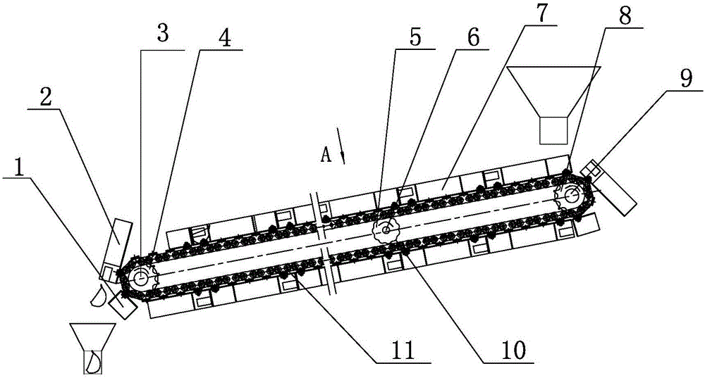 Semi-automatic garlic planter