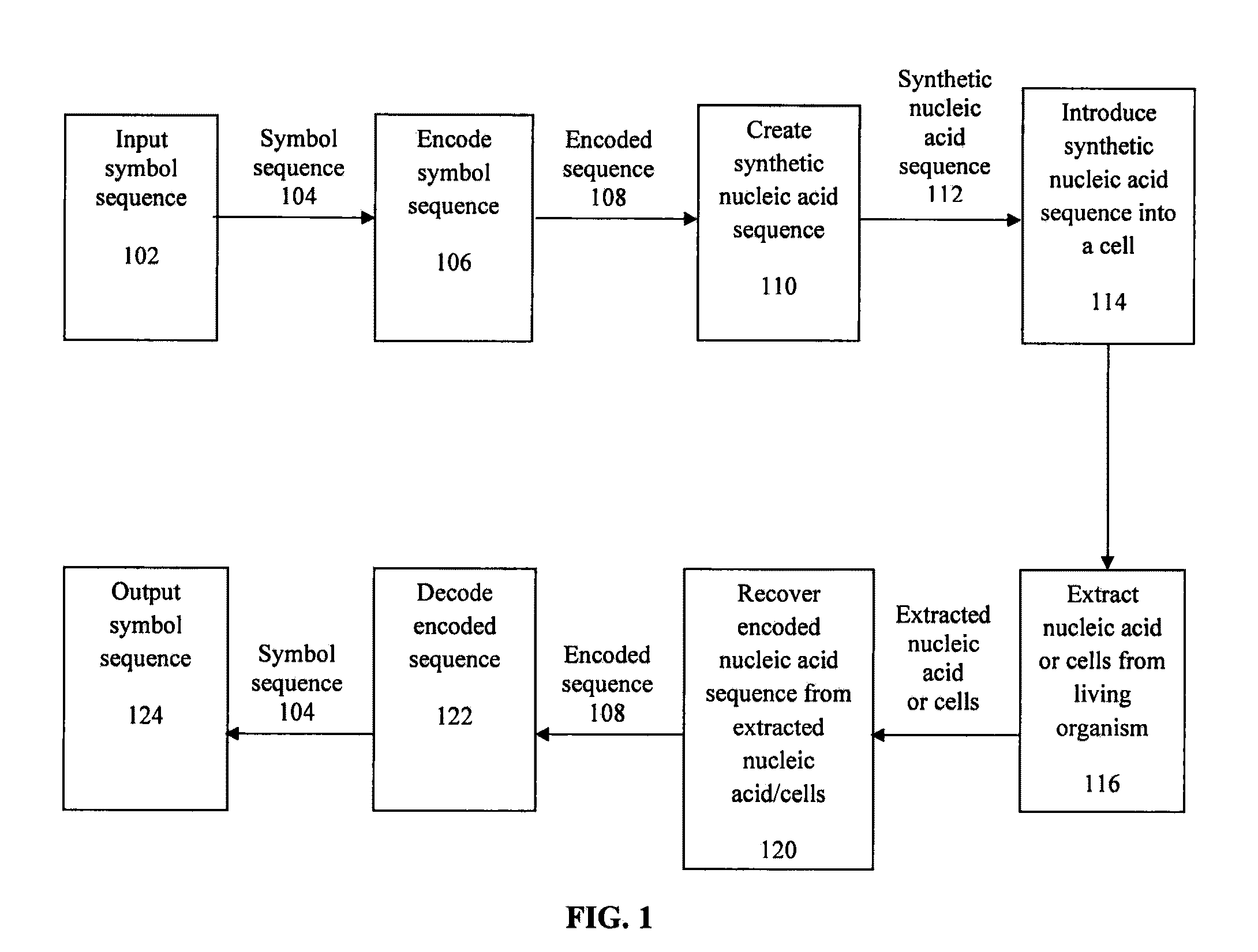 Encoding text into nucleic acid sequences