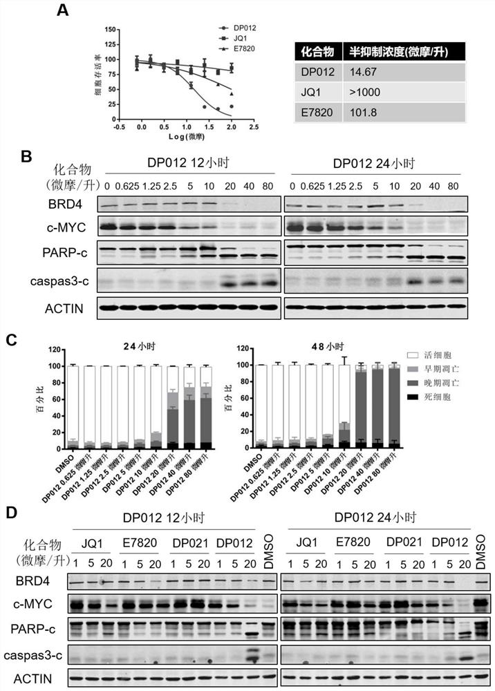 DCAF15-based protein degradation targeting chimeric body as well as preparation method and application thereof