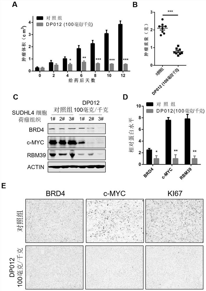 DCAF15-based protein degradation targeting chimeric body as well as preparation method and application thereof