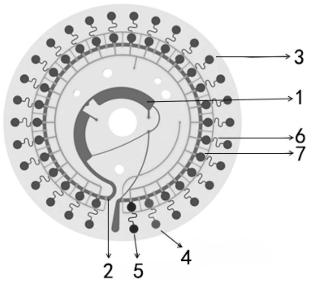 Microfluidic detection system for identifying nontuberculous mycobacterium strains