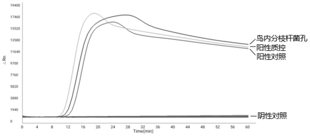 Microfluidic detection system for identifying nontuberculous mycobacterium strains