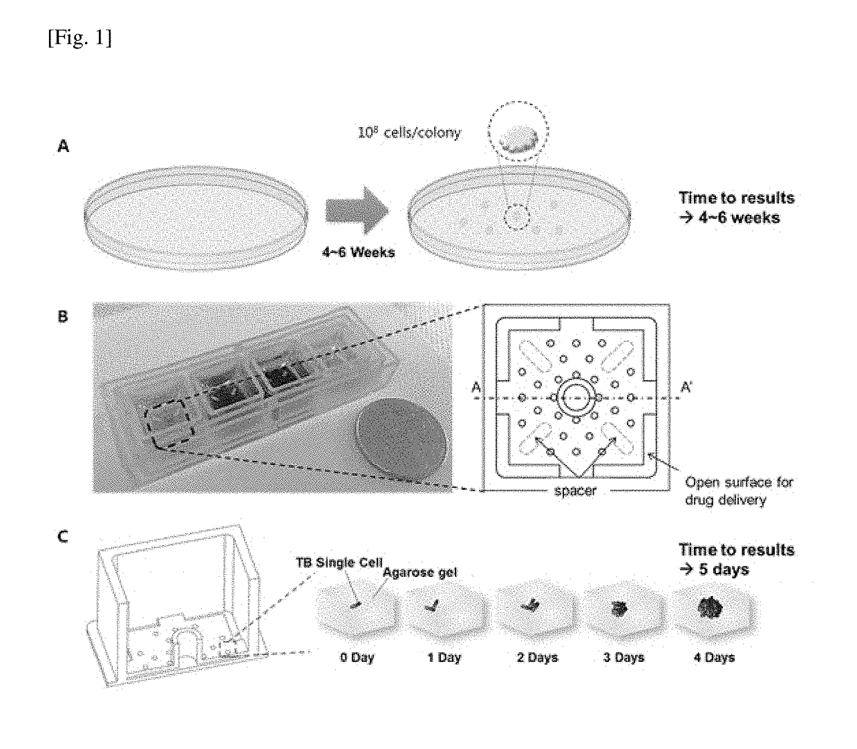 Novel bioactivity testing structure for single cell tracking using gelling agents