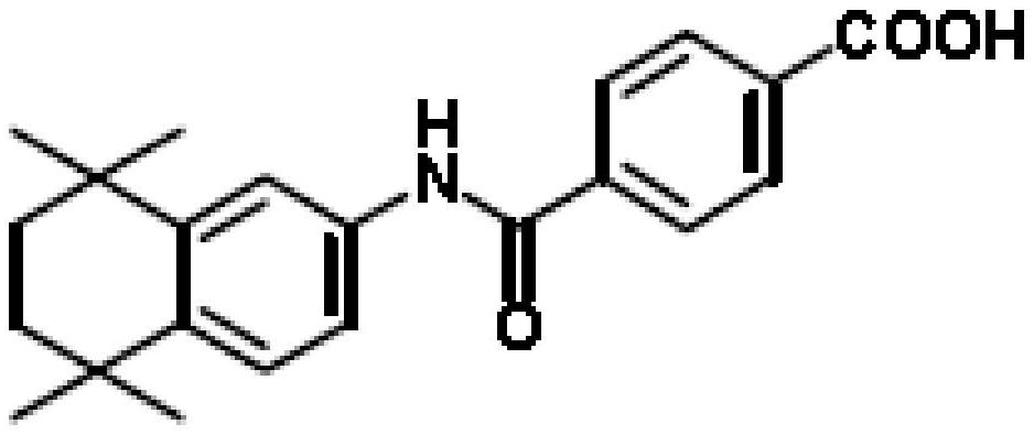 A kind of oral solid preparation of Tamibarotene, its preparation method and application