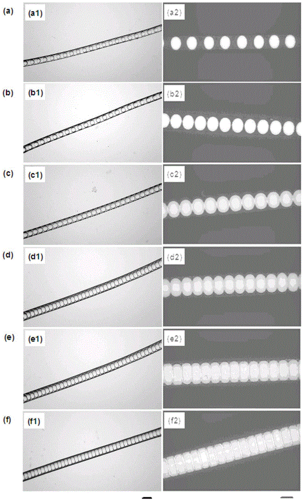 Phase change energy storage fiber with isolated chamber and preparation method thereof