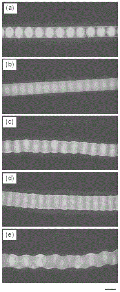 Phase change energy storage fiber with isolated chamber and preparation method thereof