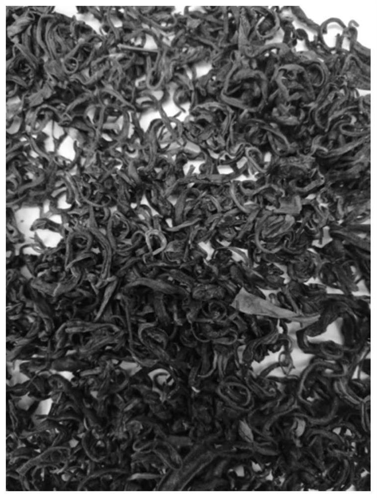 Processing method of fresh glycol type summer and autumn green tea in Jiangbei tea region