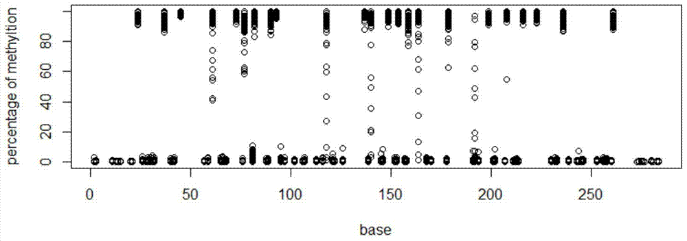 A multi-sample multi-fragment DNA methylation high-throughput sequencing method