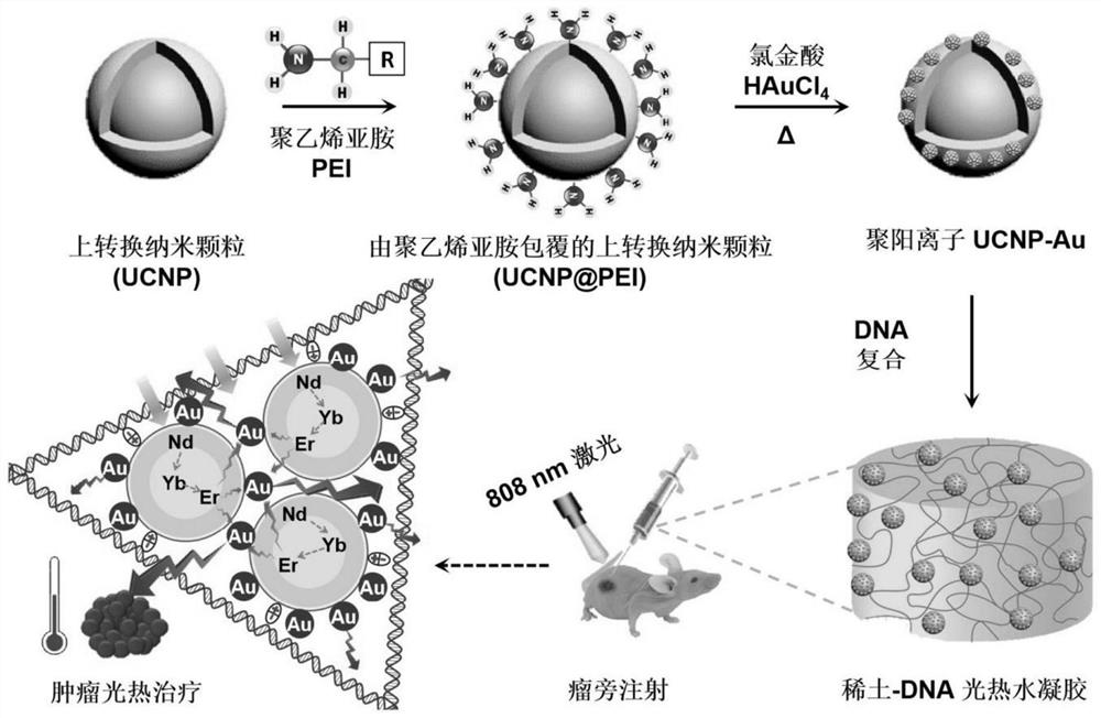Rare earth-DNA photo-thermal hydrogel for injection as well as preparation method and application thereof