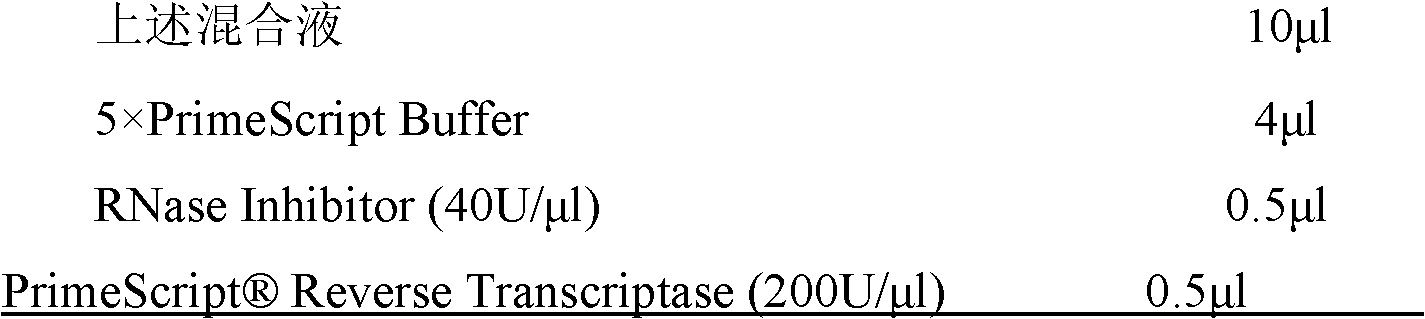 Antimicrobial peptide Hainanenin-5 of Amolops hainanensis, gene of antimicrobial peptide Hainanenin-5 of Amolops hainanensis, and application of gene of antimicrobial peptide Hainanenin-5 of Amolops hainanensis