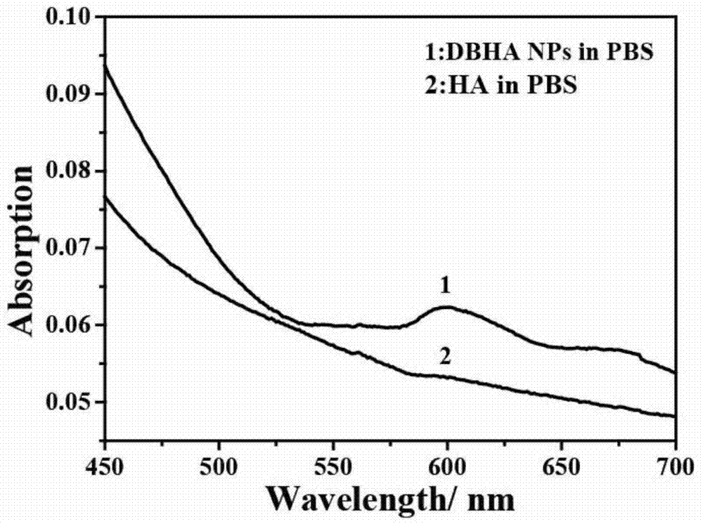 Diiodostyrene type boron fluoride dipyrrole-hyaluronic acid as well as preparation method and application thereof