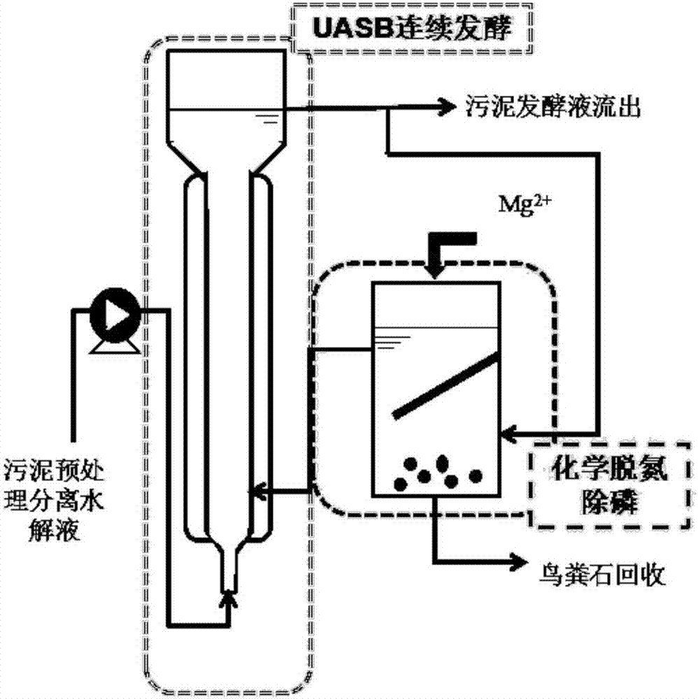 Method for regulating acidogenic effect of liquid state fermentation of sludge and removing nitrogen and phosphorus on line