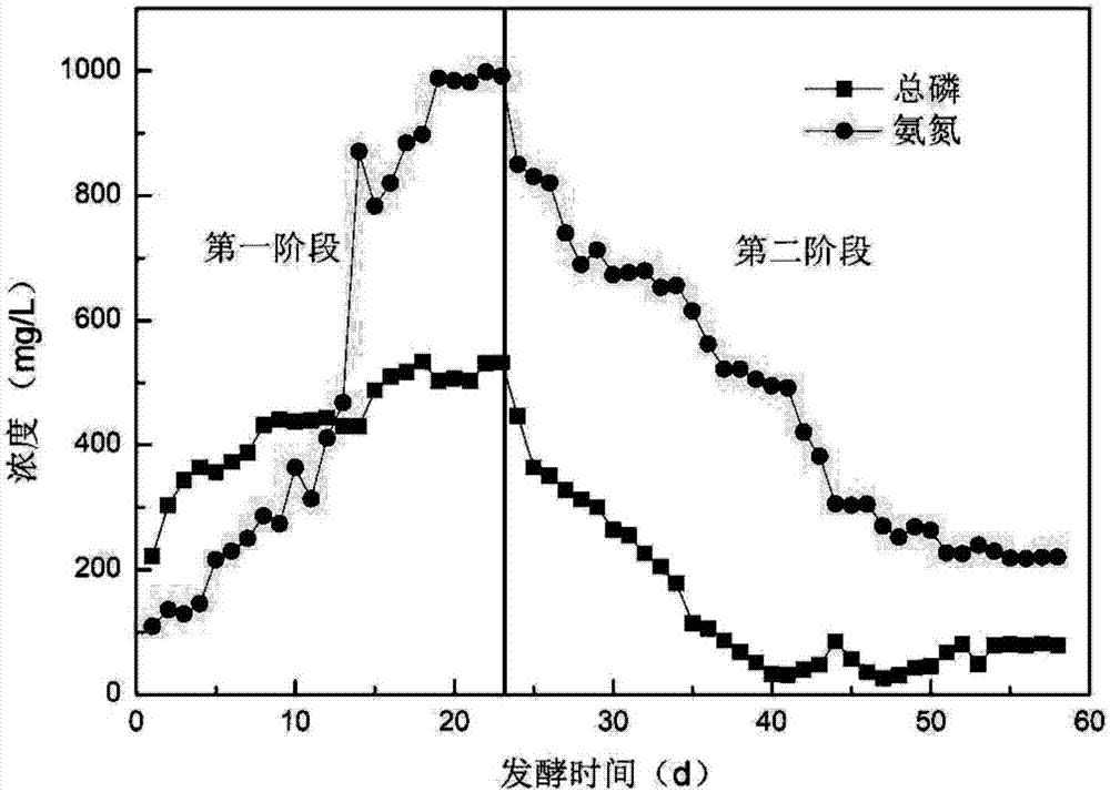 Method for regulating acidogenic effect of liquid state fermentation of sludge and removing nitrogen and phosphorus on line