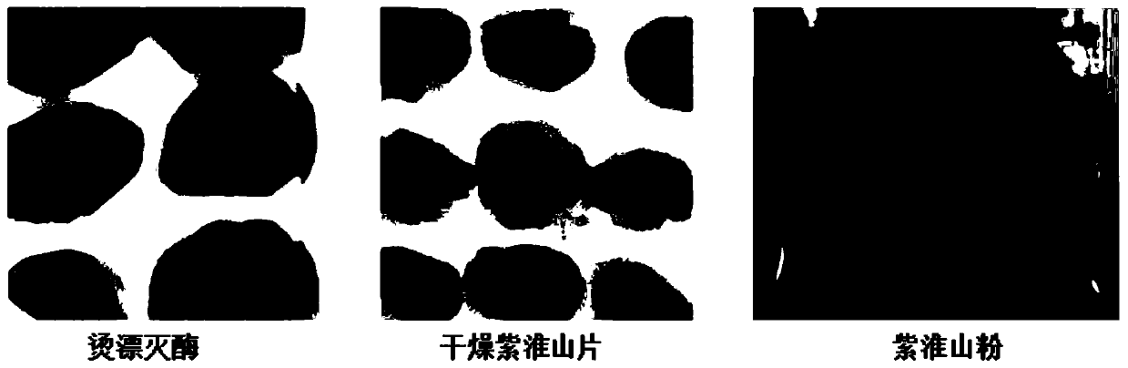 Purple yam powder and preparation method thereof