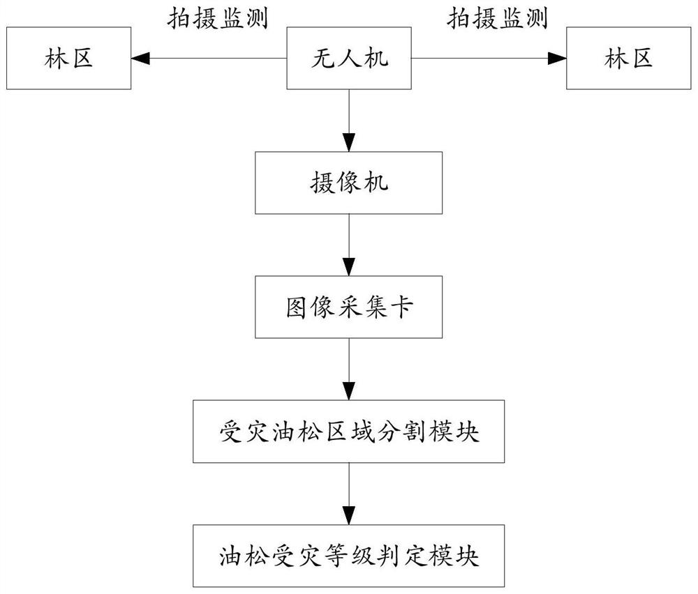 A method for judging the damage level of Chinese pine and its judging system