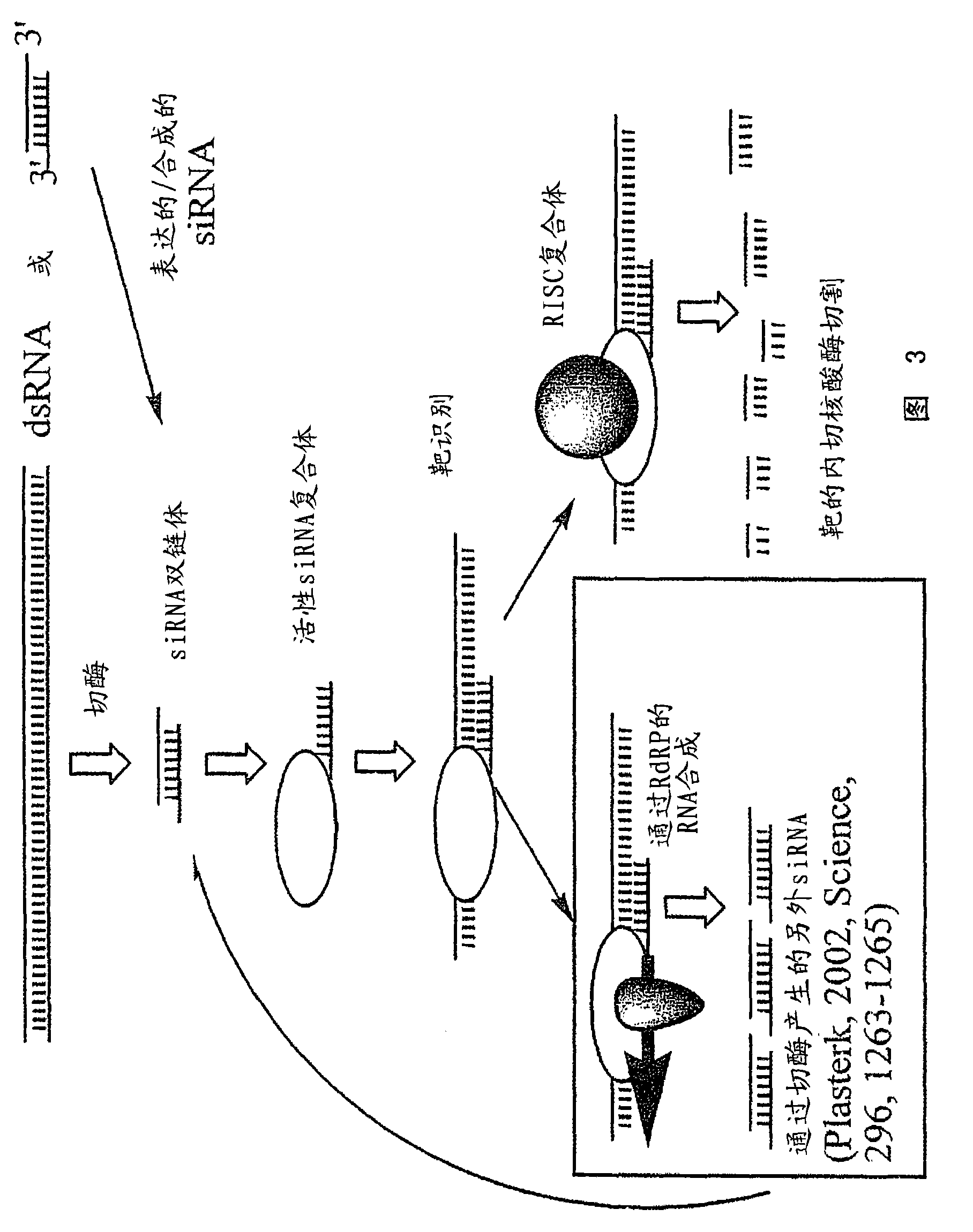 RNA interference mediated inhibition of proprotein convertase subtilisin Kexin 9 (PCSK9) gene expression using short interfering nucleic acid (siNA)