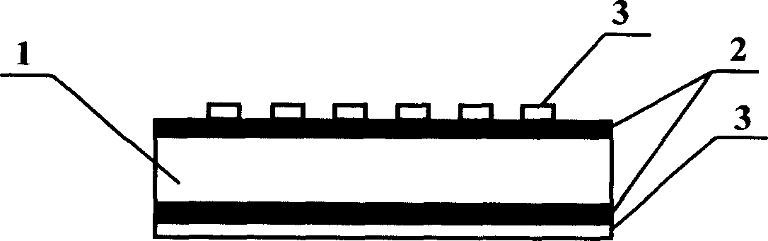 Preparing method for epidermis needle and its application