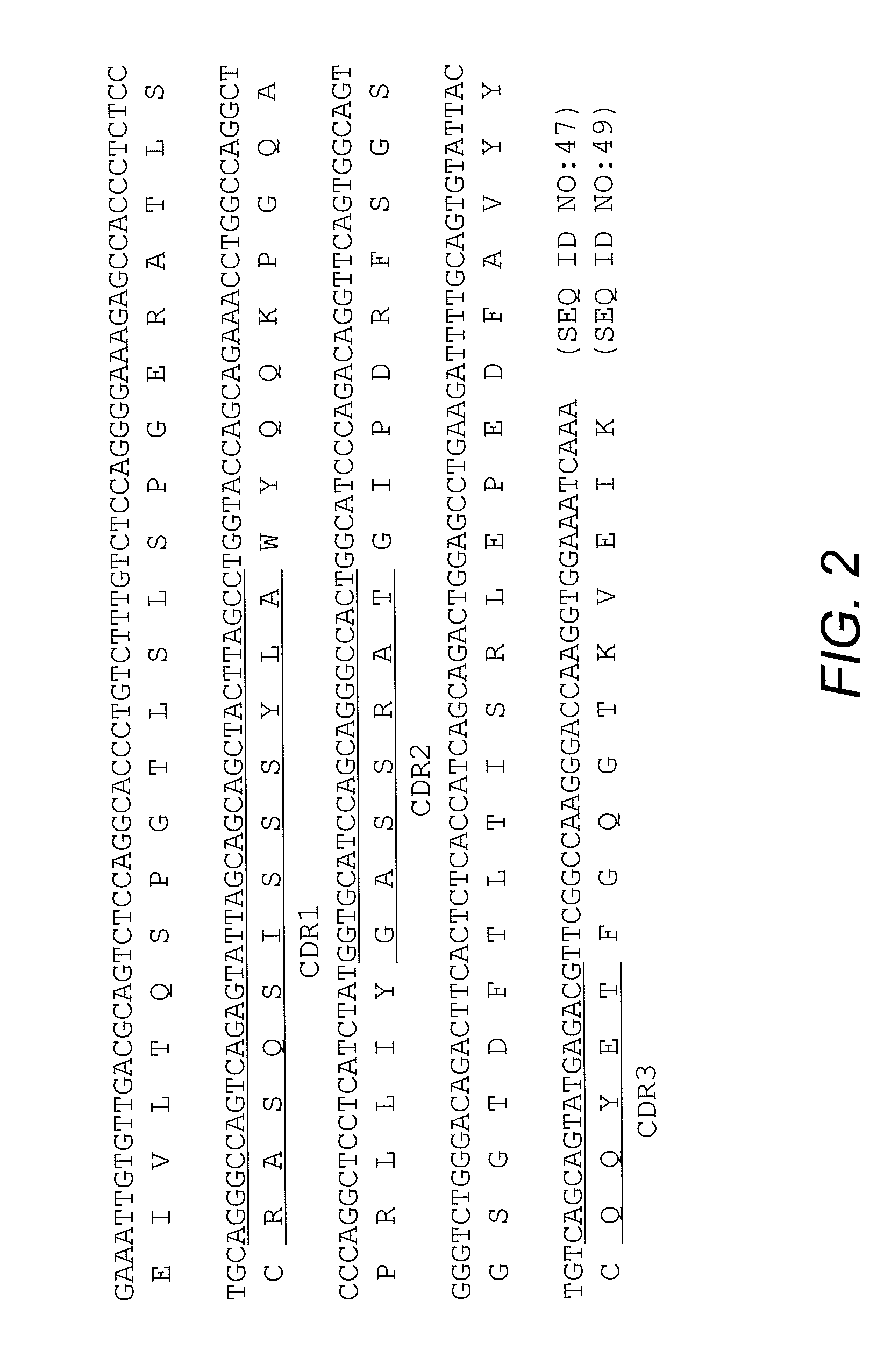 High affinity antibody antagonists of interleukin-13 receptor alpha 1