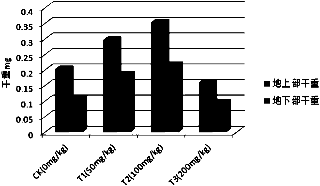 Method for plant restoration of copper-contaminated soil