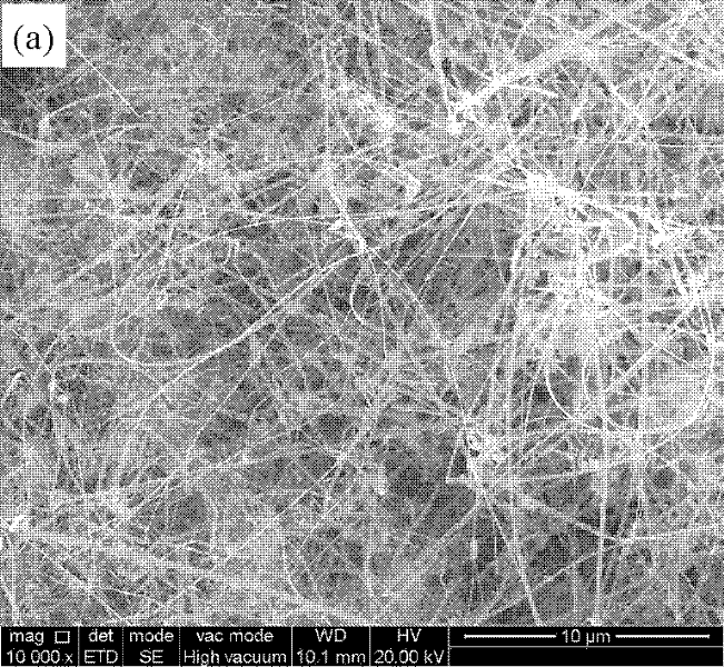 Method for preparing SiC nanometre wires and nanometre belts