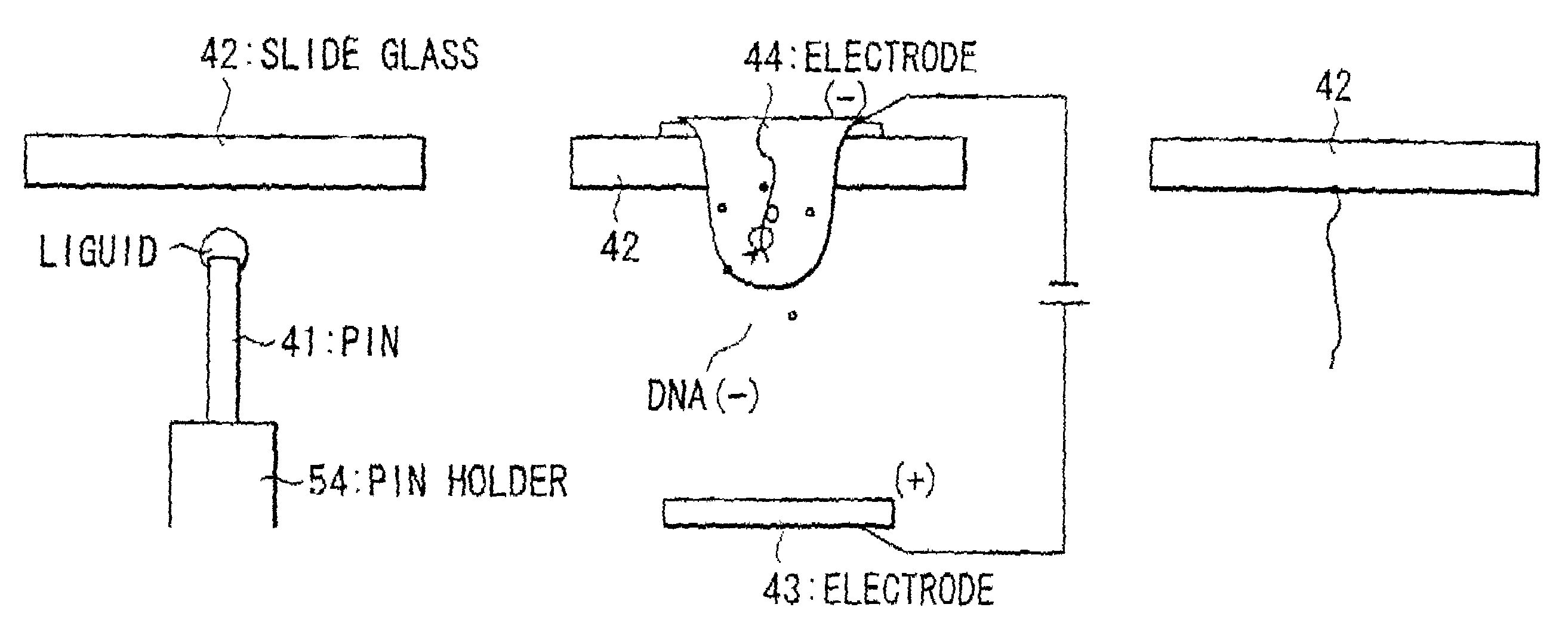 Method and apparatus for producing biochips