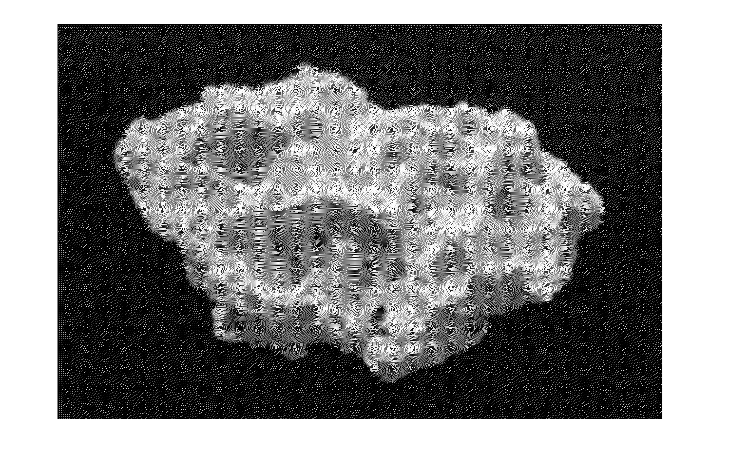 Method for preparing composition comprising porous ceramic with thermo-response hydrogel