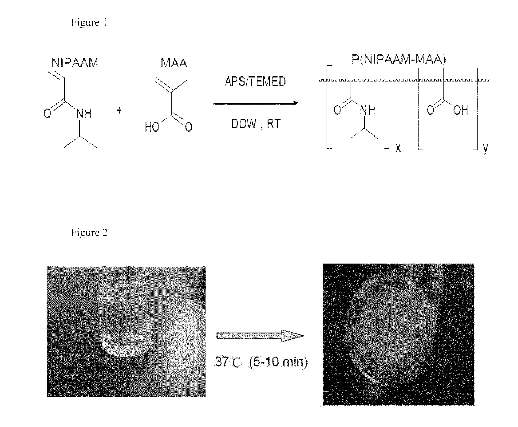 Method for preparing composition comprising porous ceramic with thermo-response hydrogel