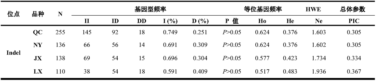 Detection method for 19-bp duplication and deletion polymorphism of Chinese yellow cattle PLAG1 (Pleomorphic Adenoma Gene 1) gene and application of detection method