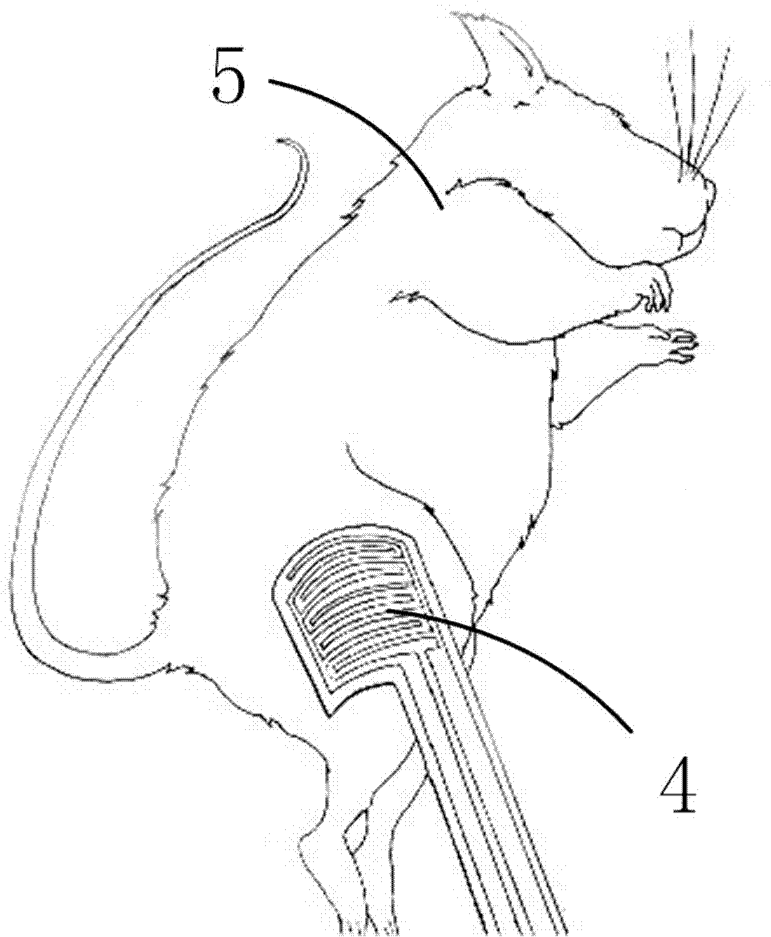 Method for conveying nucleic acid to vivo tissue cells by flexible electrode chip