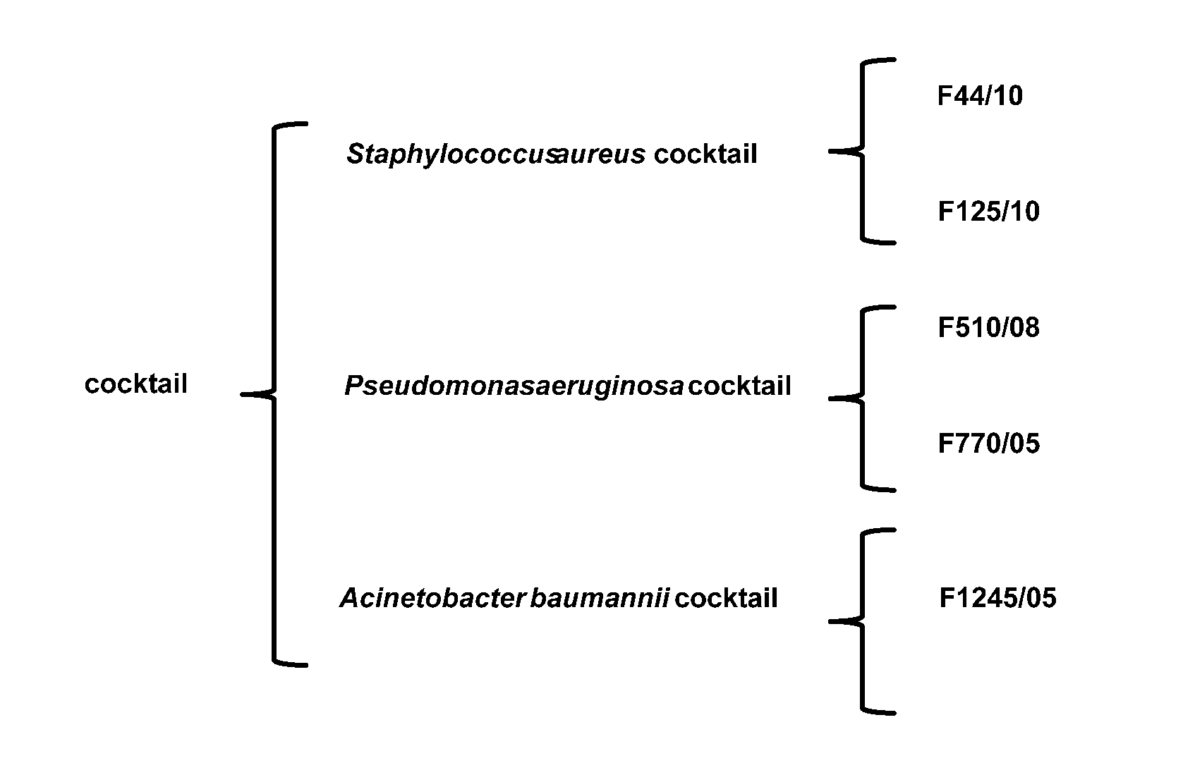 Compositions comprising cocktails of antibacterial phages and uses thereof for the treatment of bacterial infections