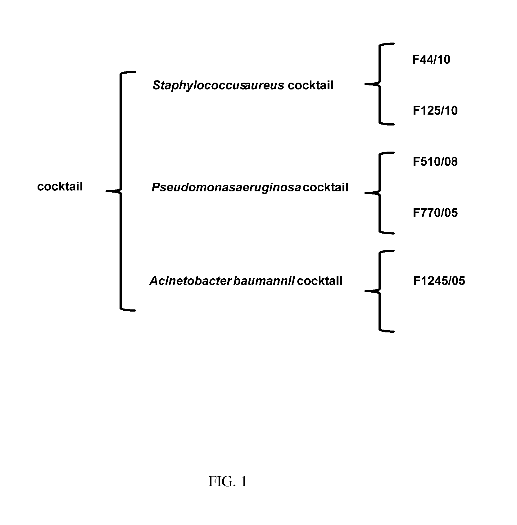 Compositions comprising cocktails of antibacterial phages and uses thereof for the treatment of bacterial infections