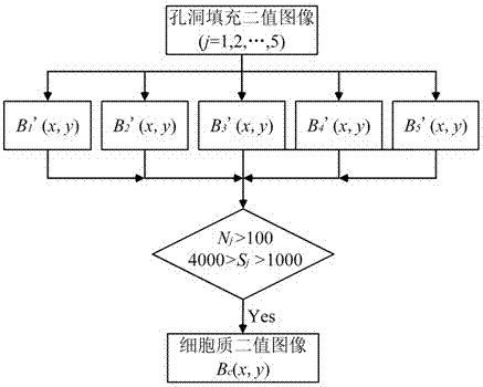 Adherent red blood cell automatic counting method based on high spectral imaging