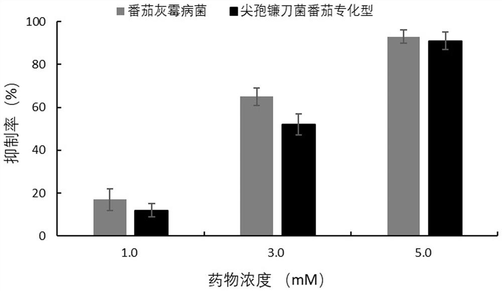 Application of verapamil hydrochloride in the preparation of fungicides for preventing and treating plant diseases caused by plant pathogenic bacteria