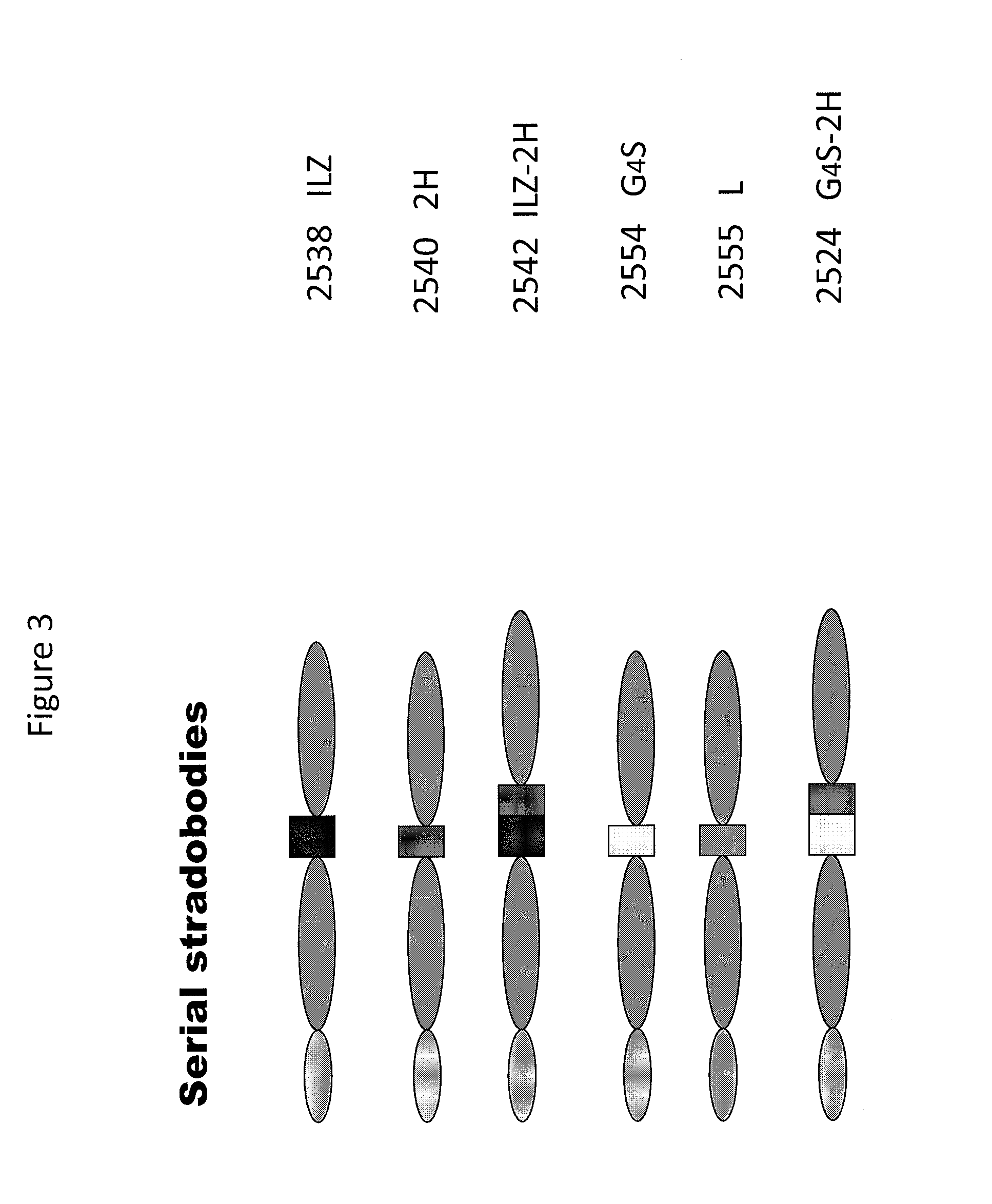 Molecules with antigen binding and polyvalent fc gamma receptor binding activity