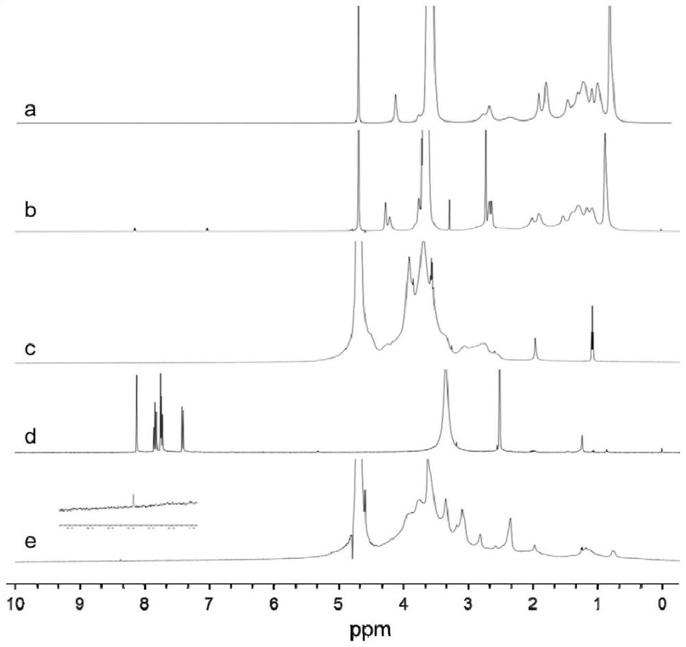 A kind of carboxymethyl chitosan-rhein conjugate modified by TPGS and its synthesis process and application