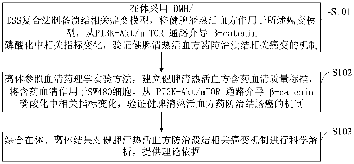 Detection method for preventing and treating ulceration canceration mechanism by spleen-tonifying, heat-clearing and blood-activating formula