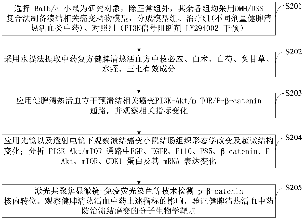 Detection method for preventing and treating ulceration canceration mechanism by spleen-tonifying, heat-clearing and blood-activating formula