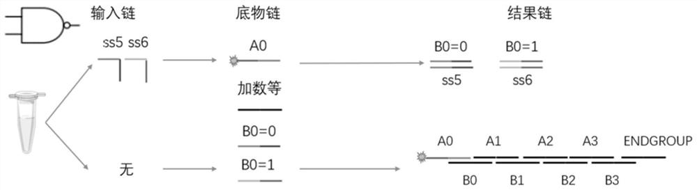 DNA molecular logic gate based on nucleic acid hybridization