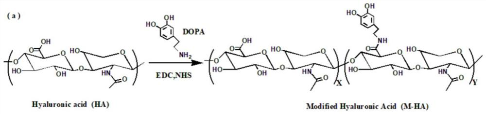 A hydrogel drug-loaded coating for treatment in oxidative stress environment and preparation method thereof