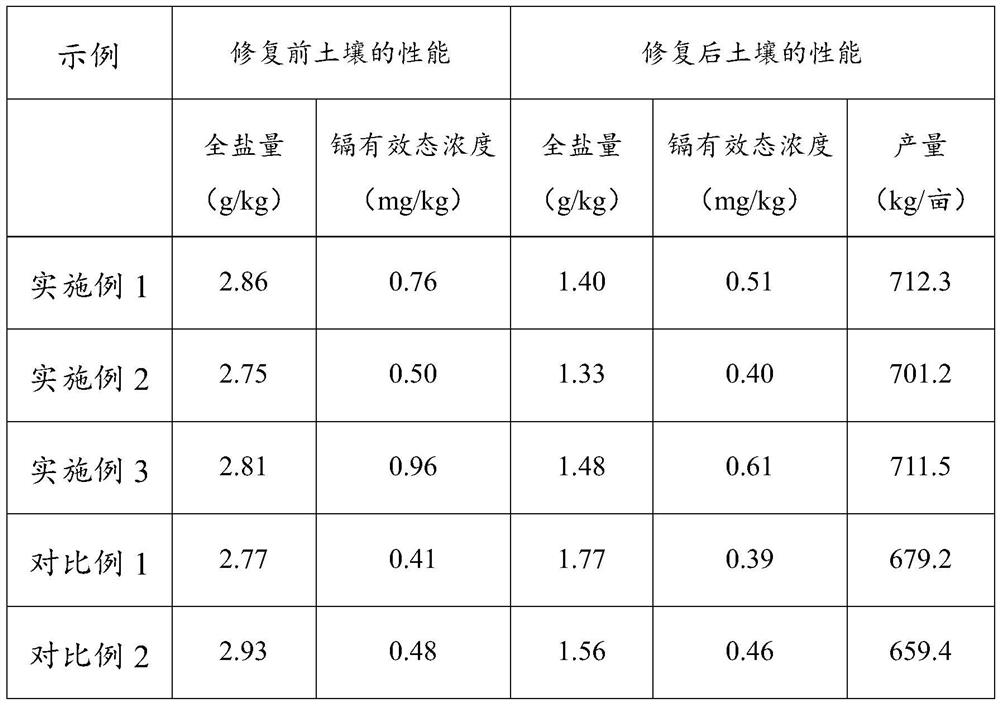 Remediation technology for salinized soil and application of remediation technology