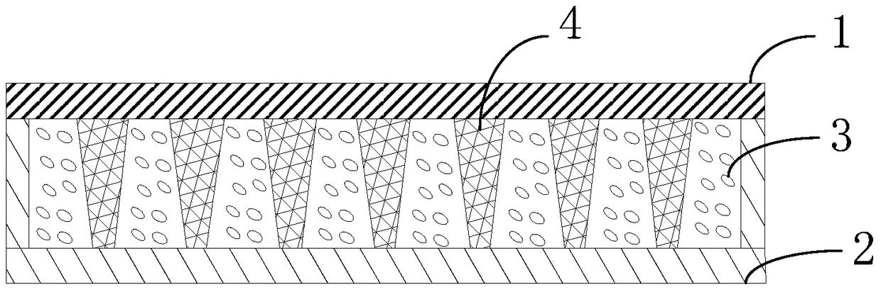 Curved liquid crystal panel and display device