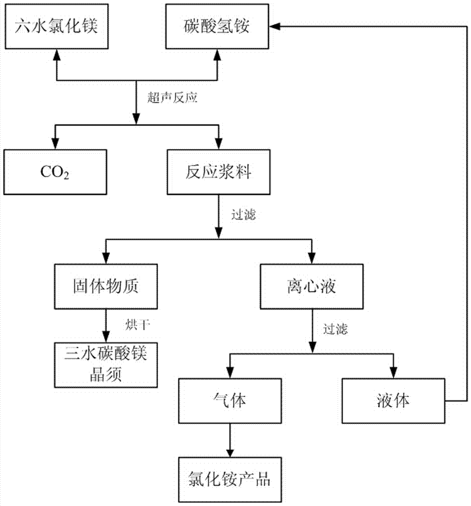 A kind of method for preparing magnesium carbonate trihydrate whisker by ultrasonic wave