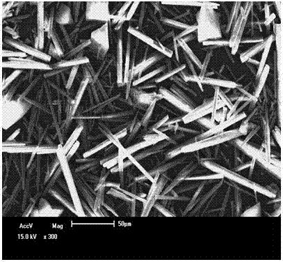 A kind of method for preparing magnesium carbonate trihydrate whisker by ultrasonic wave